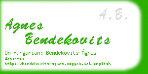 agnes bendekovits business card